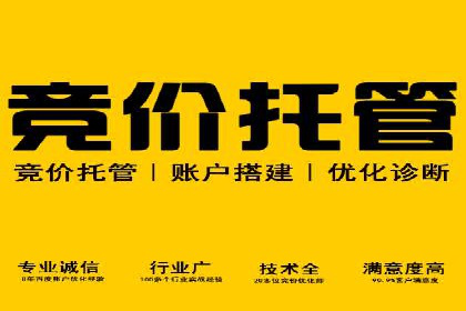 搜索引擎营销（SEM）的运营技巧与实际案例